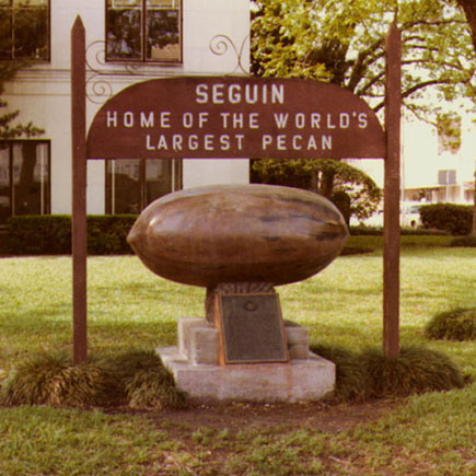 Seguin Great Pecan